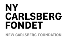 Logo for Ny Carlsbergfondet